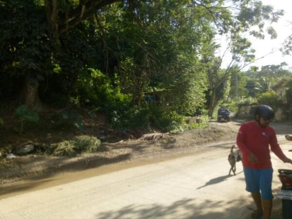 Lot For Sale in Pulang Bato - Image 1