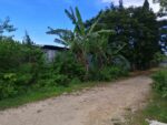 Prime Development Opportunity in Lapu-Lapu City – 1,490 sqm Lot for Sale - Image 4