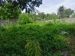 1741sqm Beachfront in Tayud Liloan - Image 2
