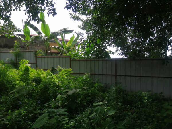 1741sqm Beachfront in Tayud Liloan - Image 3
