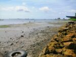1741sqm Beachfront in Tayud Liloan - Image 5