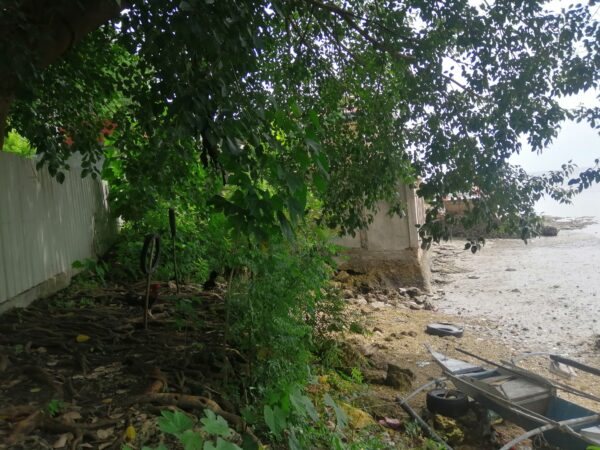 1741sqm Beachfront in Tayud Liloan - Image 7
