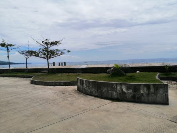 Sacrifice Sale Beachfront Townhouse in Argao Cebu - Image 11