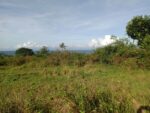 Idyllic Beachfront Property for Sale in Zaragosa Island, Badian, Cebu – Perfect for Resort Development - Image 2