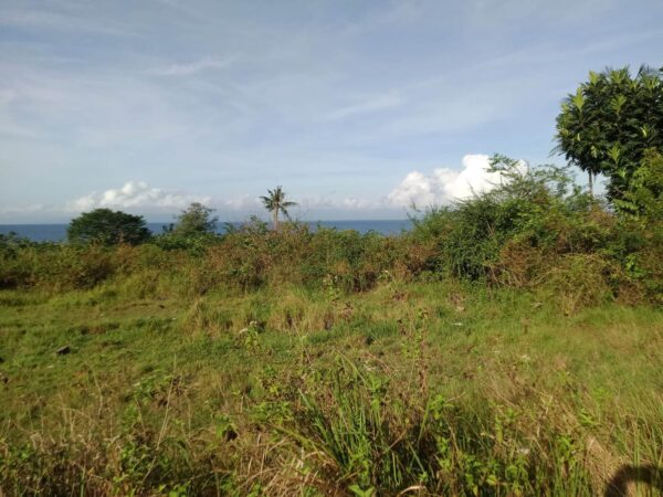 Idyllic Beachfront Property for Sale in Zaragosa Island, Badian, Cebu – Perfect for Resort Development - Image 2