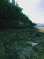 Idyllic Beachfront Property for Sale in Zaragosa Island, Badian, Cebu – Perfect for Resort Development - Image 4