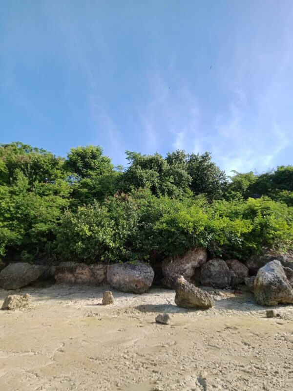 Idyllic Beachfront Property for Sale in Zaragosa Island, Badian, Cebu – Perfect for Resort Development - Image 5