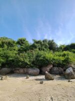 Idyllic Beachfront Property for Sale in Zaragosa Island, Badian, Cebu – Perfect for Resort Development - Image 6