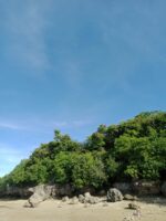 Idyllic Beachfront Property for Sale in Zaragosa Island, Badian, Cebu – Perfect for Resort Development - Image 7