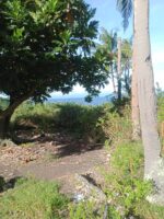 Idyllic Beachfront Property for Sale in Zaragosa Island, Badian, Cebu – Perfect for Resort Development - Image 9
