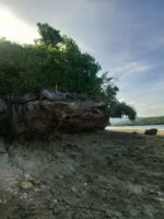 Idyllic Beachfront Property for Sale in Zaragosa Island, Badian, Cebu – Perfect for Resort Development - Image 10