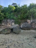 Idyllic Beachfront Property for Sale in Zaragosa Island, Badian, Cebu – Perfect for Resort Development - Image 11