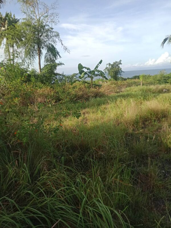 Idyllic Beachfront Property for Sale in Zaragosa Island, Badian, Cebu – Perfect for Resort Development - Image 12