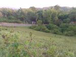 2.7 Hectare Beachfront Lot for Sale in Badian, Cebu - Perfect for Resort Development - Image 2