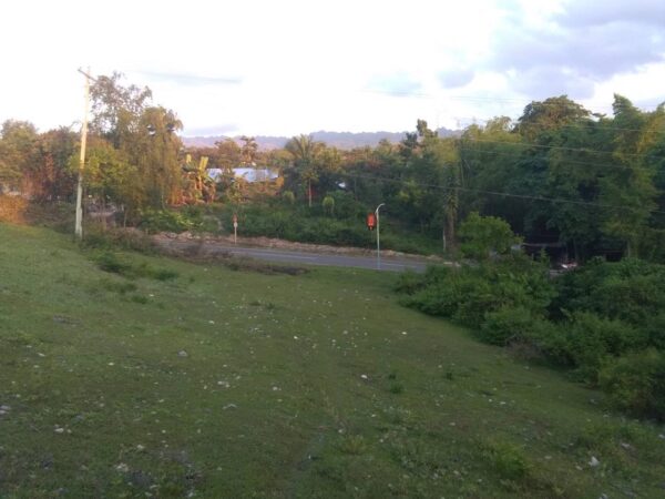 2.7 Hectare Beachfront Lot for Sale in Badian, Cebu - Perfect for Resort Development - Image 1