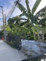 1.3 Hectare Land near SRP - Image 4