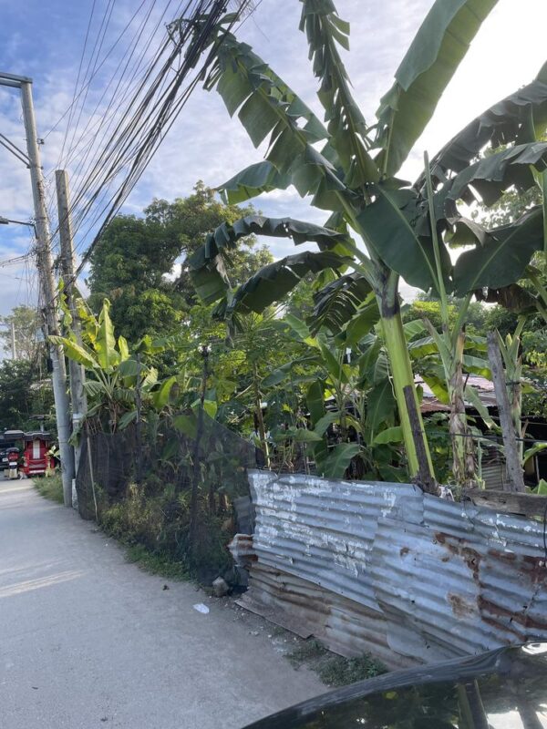 1.3 Hectare Land near SRP - Image 4