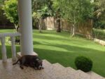 Charming 3-Bedroom House and Lot for Sale in Puerto Princesa, Palawan - Image 9