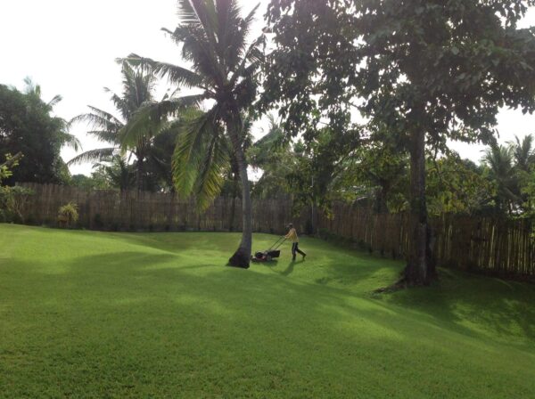 Charming 3-Bedroom House and Lot for Sale in Puerto Princesa, Palawan - Image 21