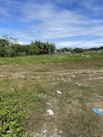 Prime 2 Hectare Commercial Lot for Sale on Basak-Kagudoy Road, Lapu-Lapu City