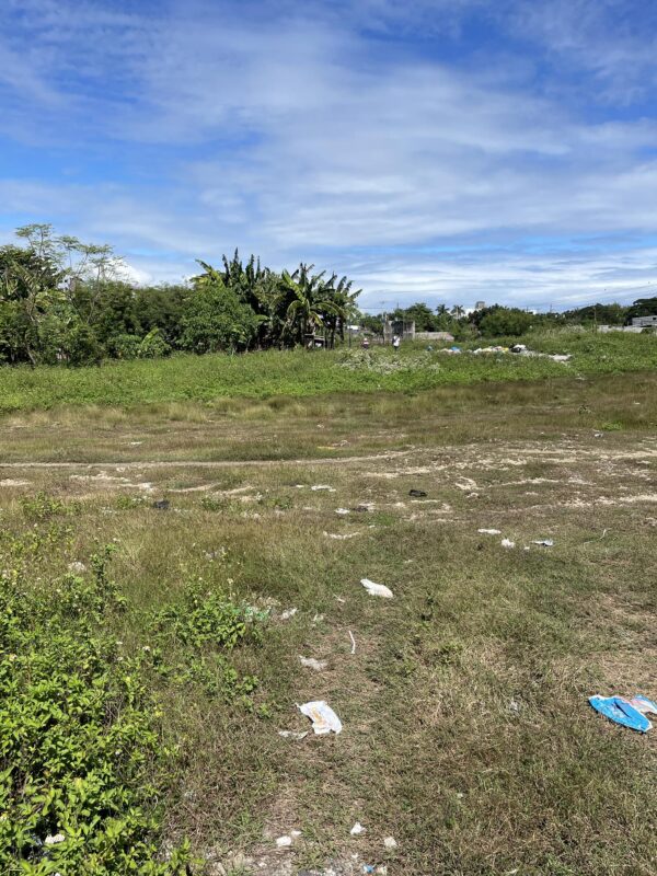 Prime 2 Hectare Commercial Lot for Sale on Basak-Kagudoy Road, Lapu-Lapu City - Image 1