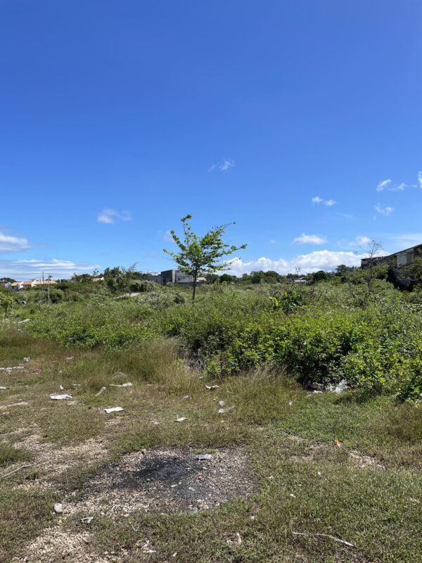 Prime 2 Hectare Commercial Lot for Sale on Basak-Kagudoy Road, Lapu-Lapu City - Image 4