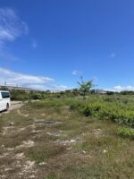 Prime 2 Hectare Commercial Lot for Sale on Basak-Kagudoy Road, Lapu-Lapu City - Image 3
