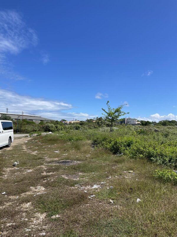Prime 2 Hectare Commercial Lot for Sale on Basak-Kagudoy Road, Lapu-Lapu City - Image 3