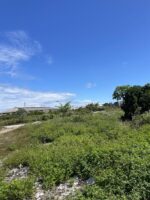 Prime 2 Hectare Commercial Lot for Sale on Basak-Kagudoy Road, Lapu-Lapu City - Image 2