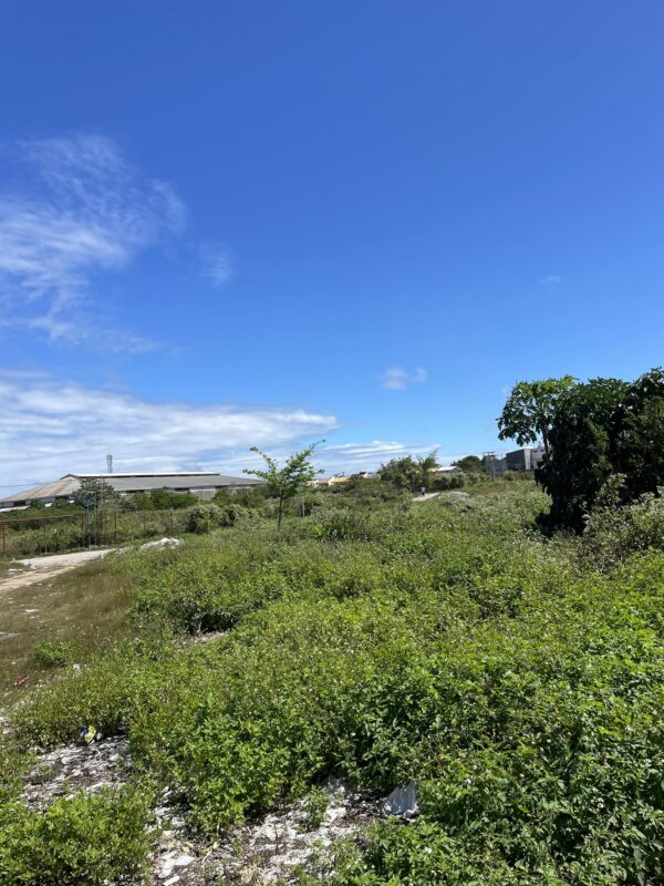 Prime 2 Hectare Commercial Lot for Sale on Basak-Kagudoy Road, Lapu-Lapu City - Image 2
