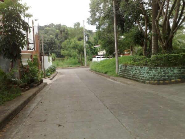Residential Lot at Metropolis Cebu - Image 2