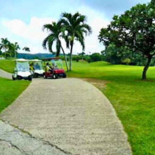 Alta Vista Residential Estates and Golf and Country Club: High End Subdivision - Image 11
