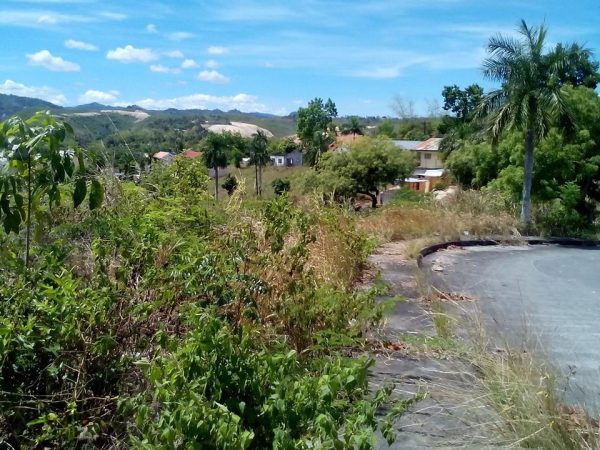 El Monte Verde De Cebu - Lot Only Subdivision - Image 14