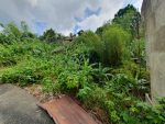 Azienda Milan: Lots for sale in Talisay Cebu - Image 13