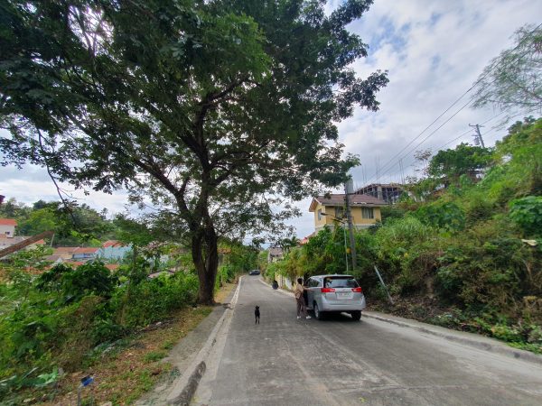 Azienda Milan: Lots for sale in Talisay Cebu - Image 8