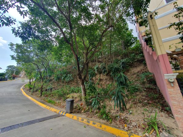 Azienda Lombardi: Residential Lots for sale in Talisay Cebu - Image 6