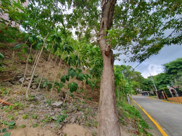 Azienda Lombardi: Residential Lots for sale in Talisay Cebu - Image 3