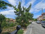 Camella Azienda Genova Cebu - Residential Lots for Sale in Talisay Cebu - Image 6