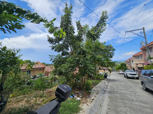 Camella Azienda Genova Cebu - Residential Lots for Sale in Talisay Cebu - Image 6