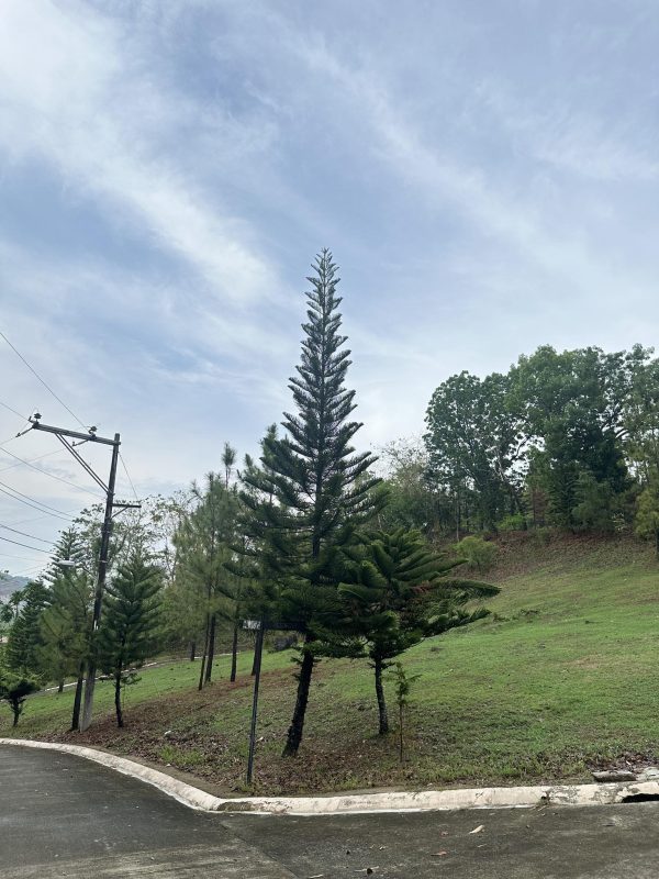 Camella Riverdale: Residential Lots for Sale in Cebu City - Image 9