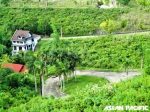El Monte Verde De Cebu - Lot Only Subdivision - Image 13