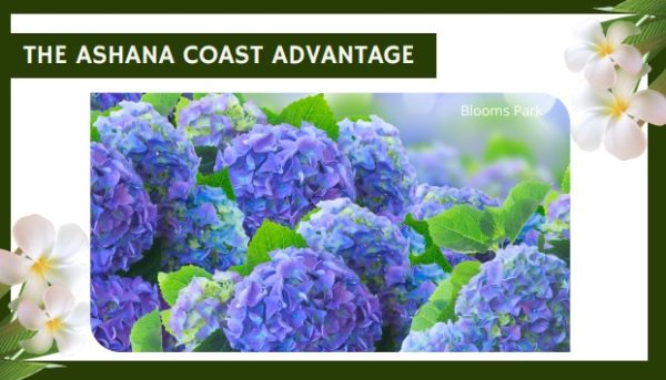 Ashana Coast Residences: Modern Coastal Living in Liloan, Cebu - Image 19