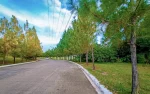 Camella Riverfront: Residential Lots for Sale in Cebu City - Image 10