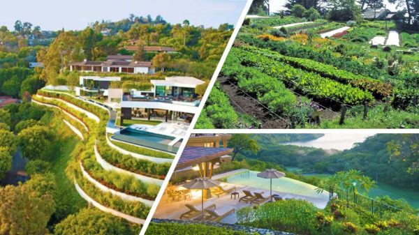Collage replacement compressed.jpg Amonsagana Premium Subdivision Lot - Image 1