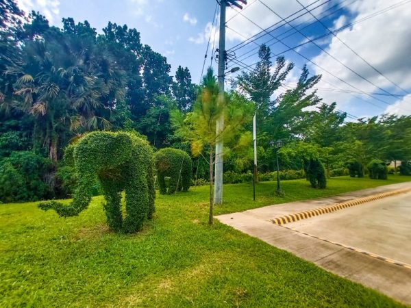 Camella Riverdale: Residential Lots for Sale in Cebu City - Image 4