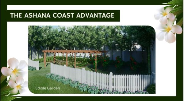 Ashana Coast Residences: Modern Coastal Living in Liloan, Cebu - Image 21