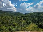 Foressa Mountain Town: Prime Residential Lots for sale in Balamban, Cebu - Image 14