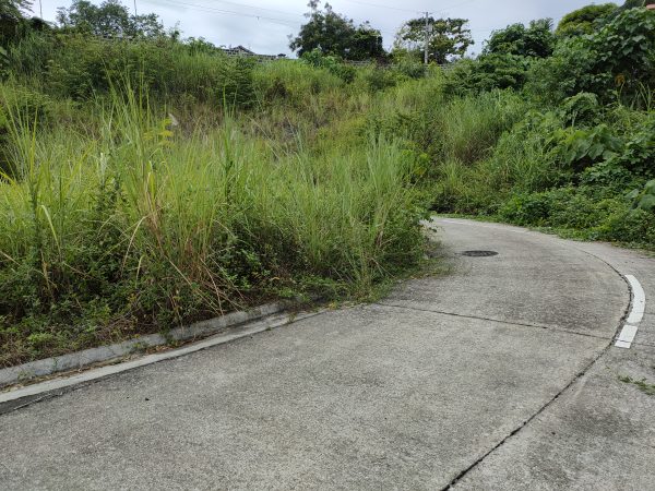 Priveya Hills: Prime Residential Lots for Sale in Cebu City - Image 2