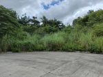 Priveya Hills: Prime Residential Lots for Sale in Cebu City - Image 12