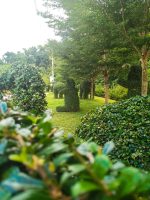 Camella Riverfront: Residential Lots for Sale in Cebu City - Image 6